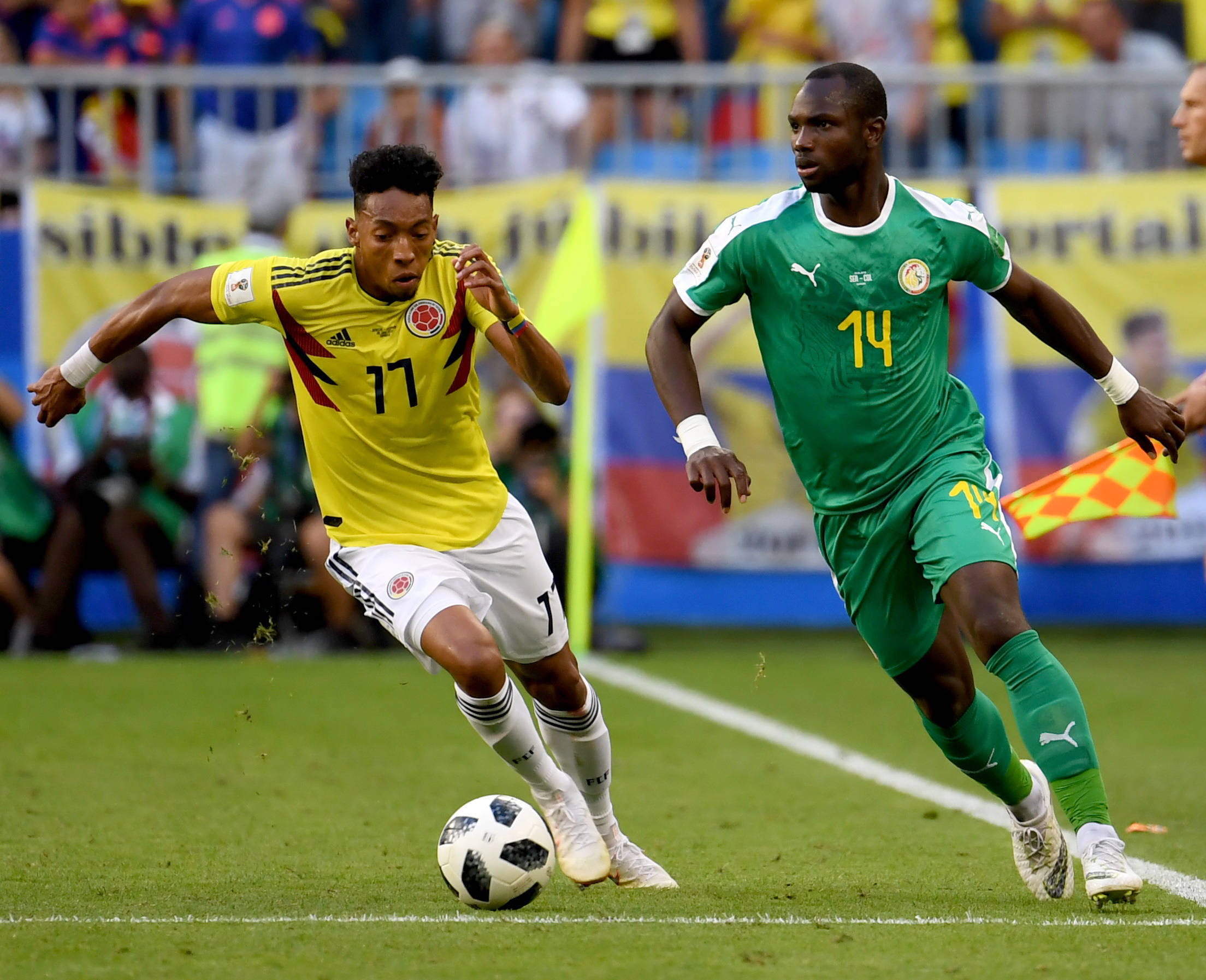 都是山东篮 都是山东篮