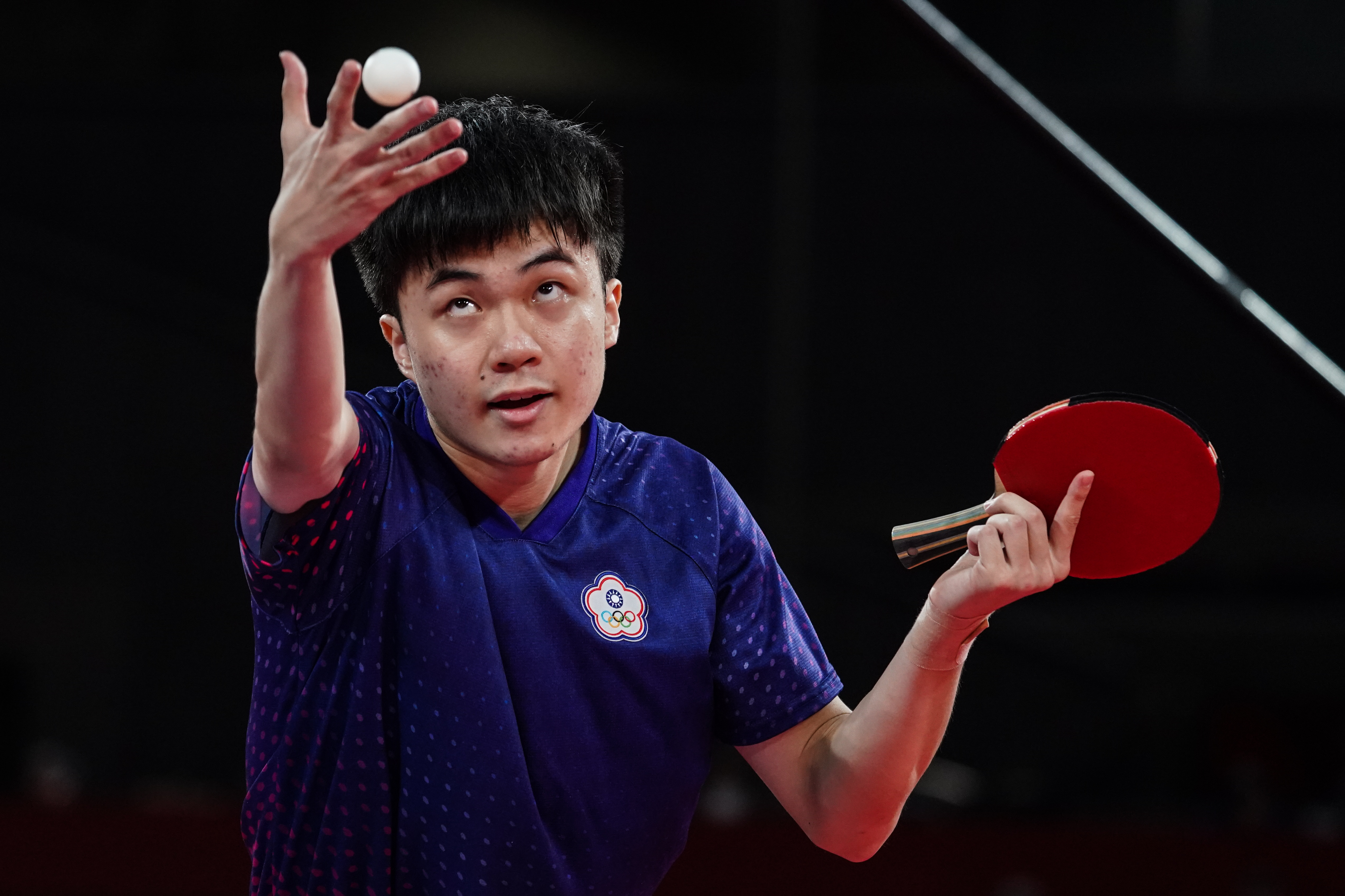 其职业生涯 其职业生涯